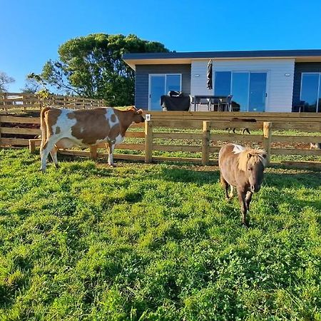 Country Comfort - Only 10 Minutes From Hamilton Cbd Esterno foto