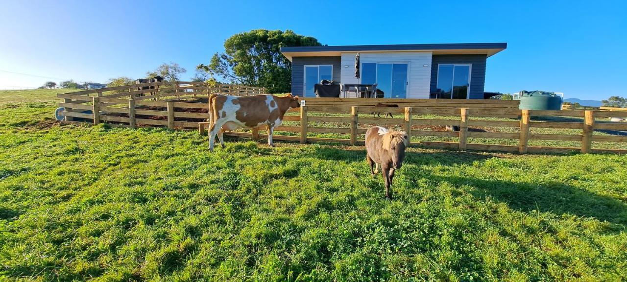 Country Comfort - Only 10 Minutes From Hamilton Cbd Esterno foto