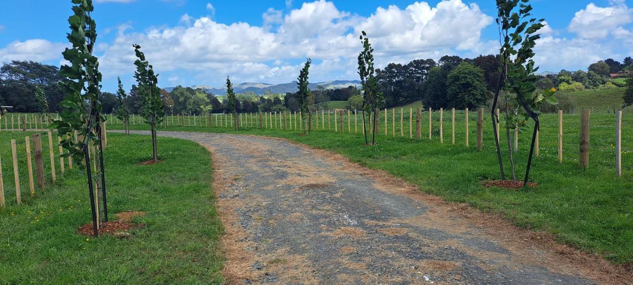 Country Comfort - Only 10 Minutes From Hamilton Cbd Esterno foto