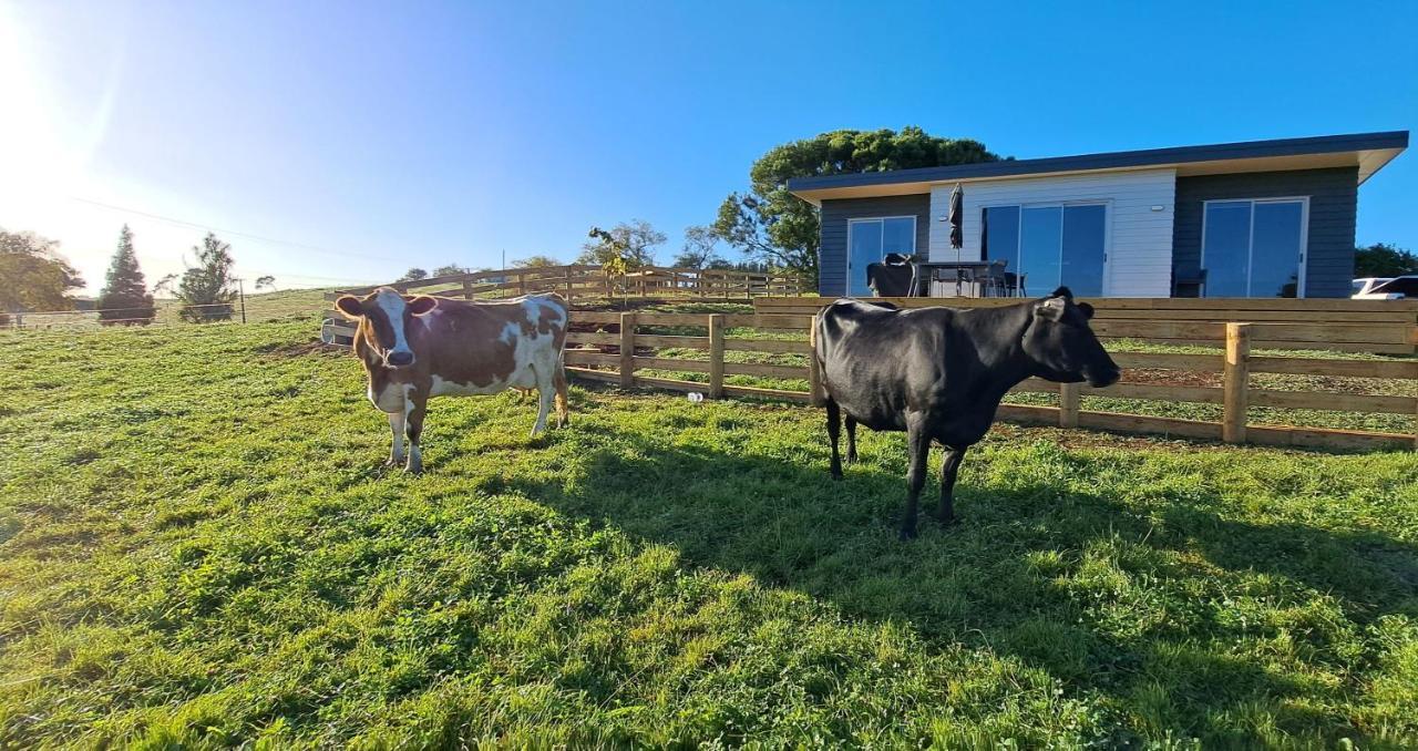 Country Comfort - Only 10 Minutes From Hamilton Cbd Esterno foto