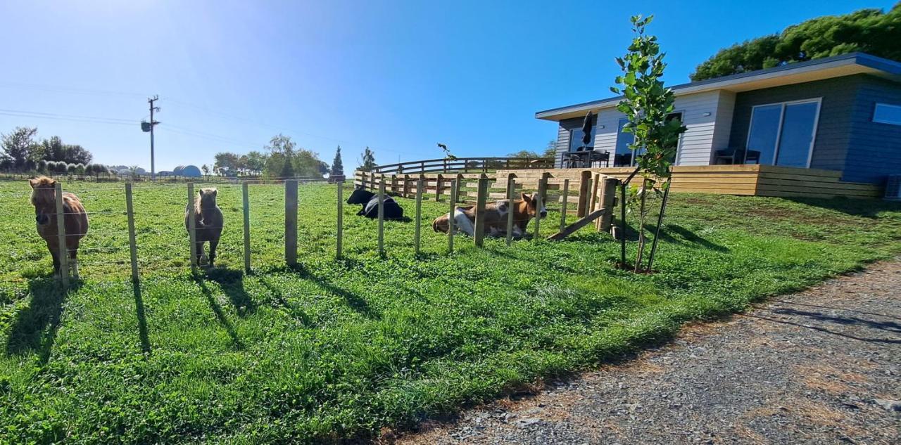 Country Comfort - Only 10 Minutes From Hamilton Cbd Esterno foto