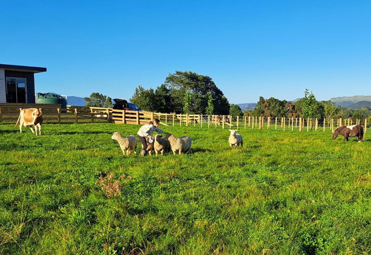 Country Comfort - Only 10 Minutes From Hamilton Cbd Esterno foto