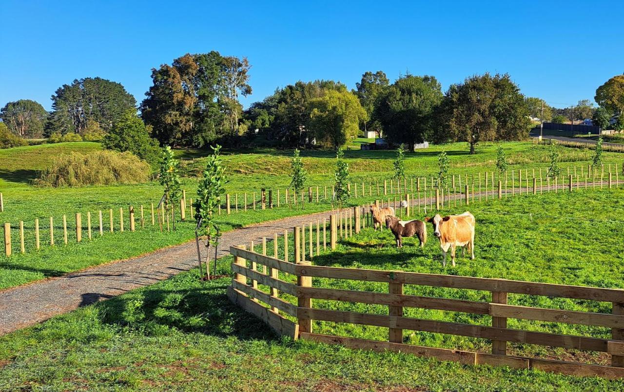 Country Comfort - Only 10 Minutes From Hamilton Cbd Esterno foto