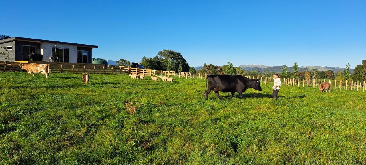 Country Comfort - Only 10 Minutes From Hamilton Cbd Esterno foto